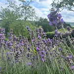 Au Mont Des Brumes
