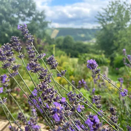 Au Mont Des Brumes Lägenhet Stoumont