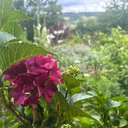 Au Mont Des Brumes * ストゥモン